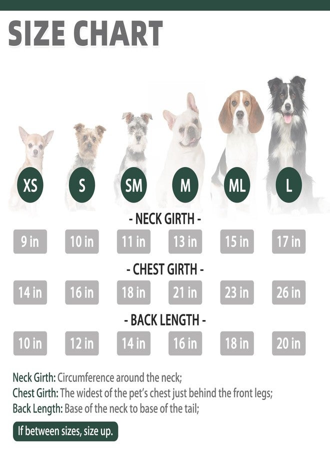 كولتيل كنزة كولتايل للكلاب الصغيرة، مقاس XS، لون أخضر، صوفية سميكة، فائقة النعومة، دافئة، كنزة عيد الميلاد للكلاب، بياقة عالية، مناسبة للطقس البارد، تصميم كلاسيكي محبوك، ملابس صوفية للحيوانات الأليفة في فصلي الخريف والشتاء، معاطف للجراء والقطط - Image 2